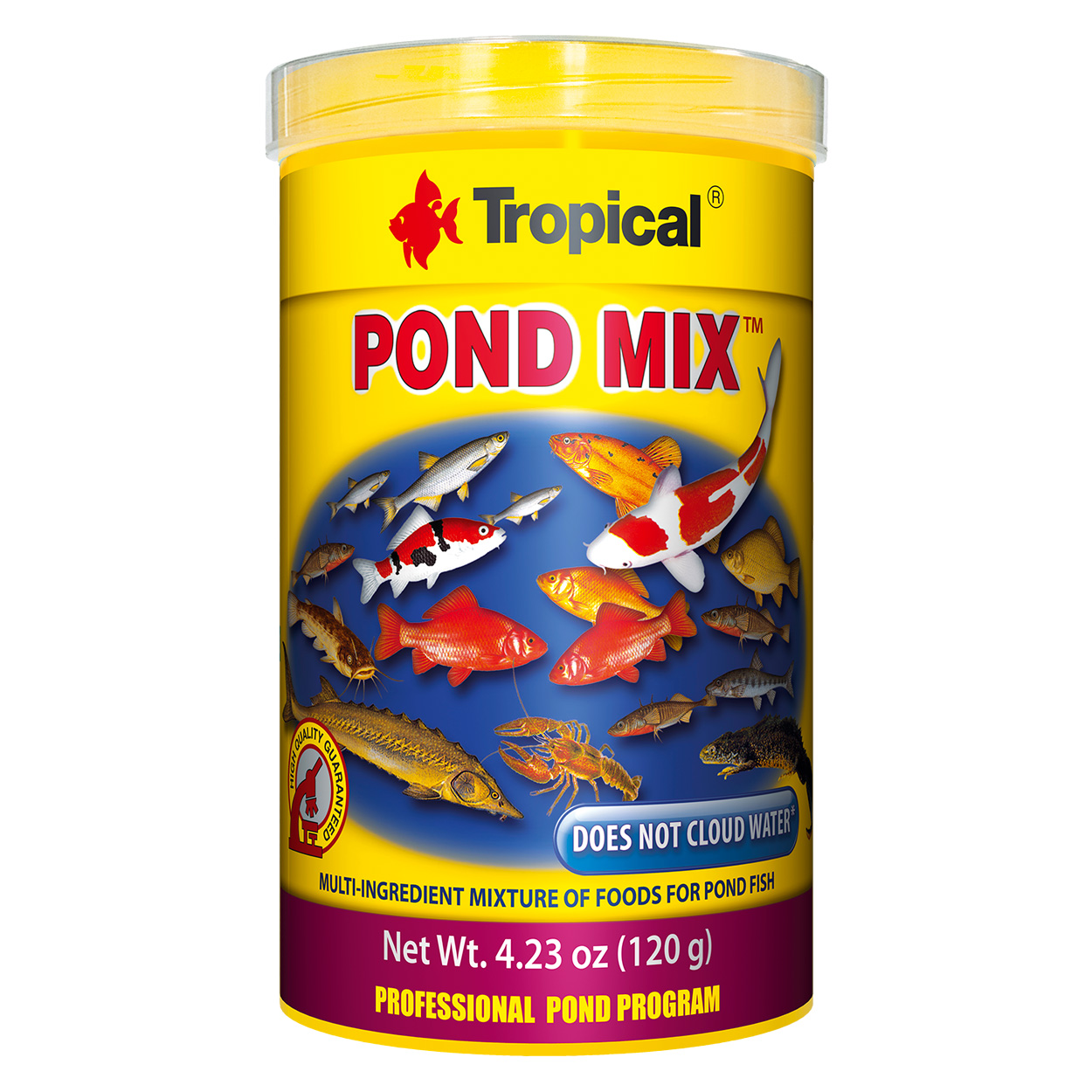 Koi Fish Feeding Tips & For Healthy Koi — Koi Story